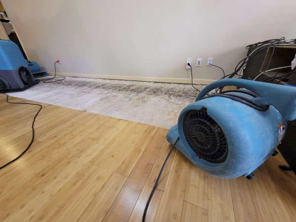 Water Damage Mitigation in Cypress
