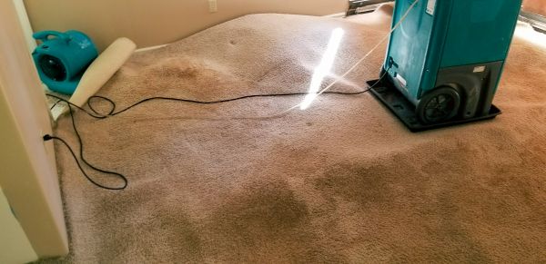 Flood Damage Cleanup in Cypress