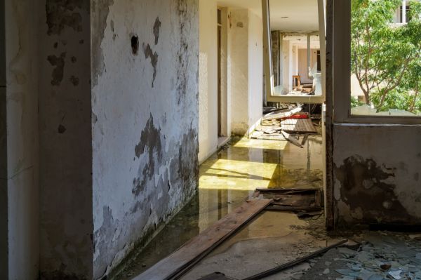 Cost of Water Removal Service in Cypress