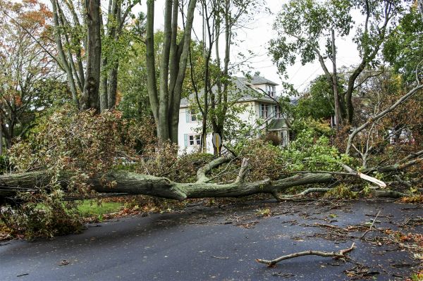 Tornado Damage Repair in Cypress