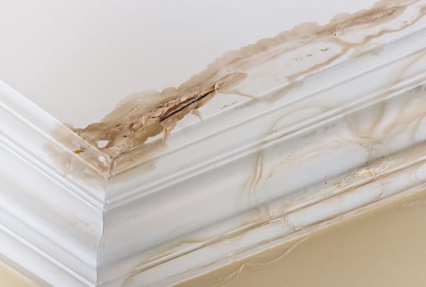 Water Damage Recovery in Cypress
