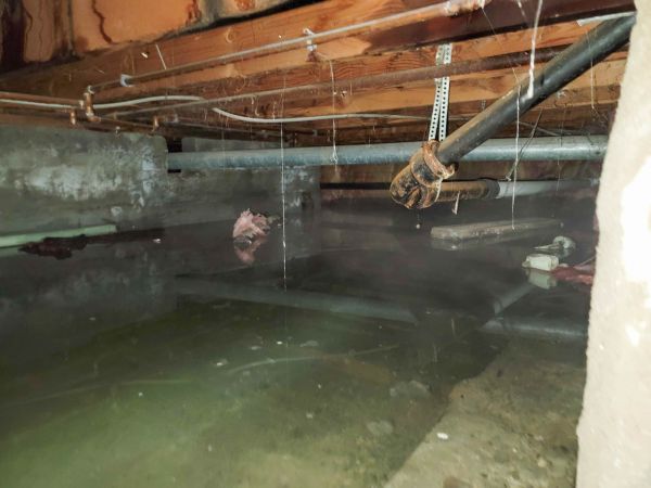 Crawlspace Water Restoration in Cypress